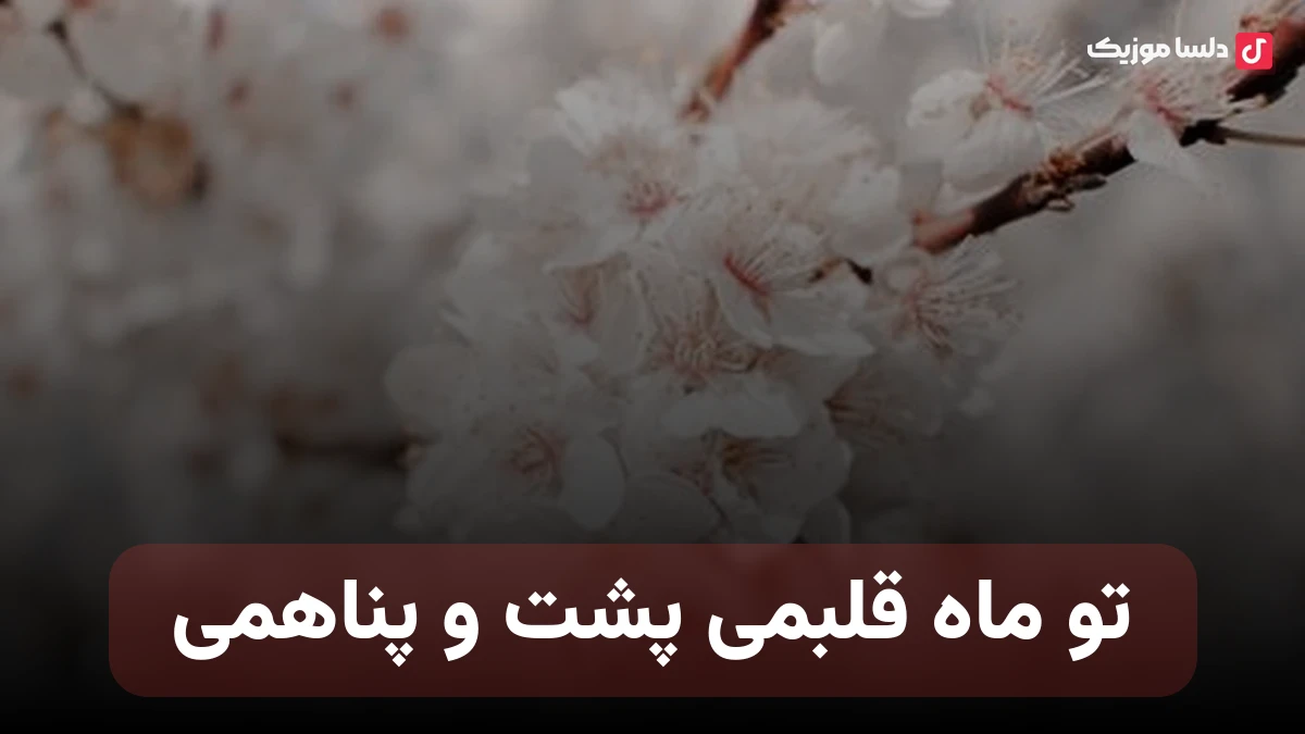 تو ماه قلبمی پشت و پناهمی هوش مصنوعی کامل تیمند صدای زن
